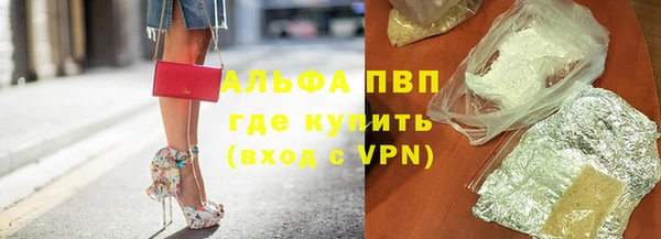 спайс Арсеньев
