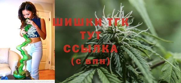 спайс Арсеньев