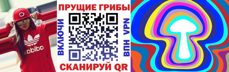 Галлюциногенные грибы GOLDEN TEACHER  Купить  Володарск 